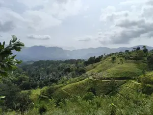 ඉඩමක් විකිණීමට – දොළුව, මහනුවර