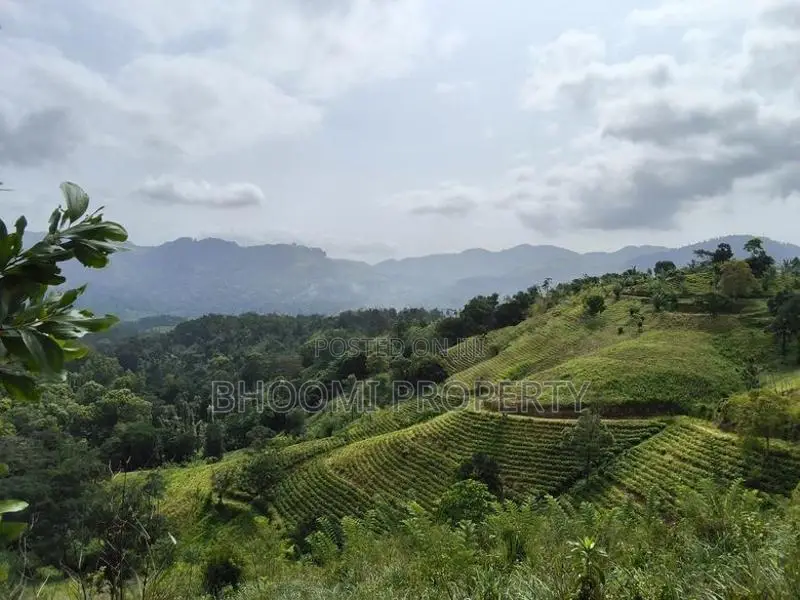 ඉඩමක් විකිණීමට – දොළුව, මහනුවර