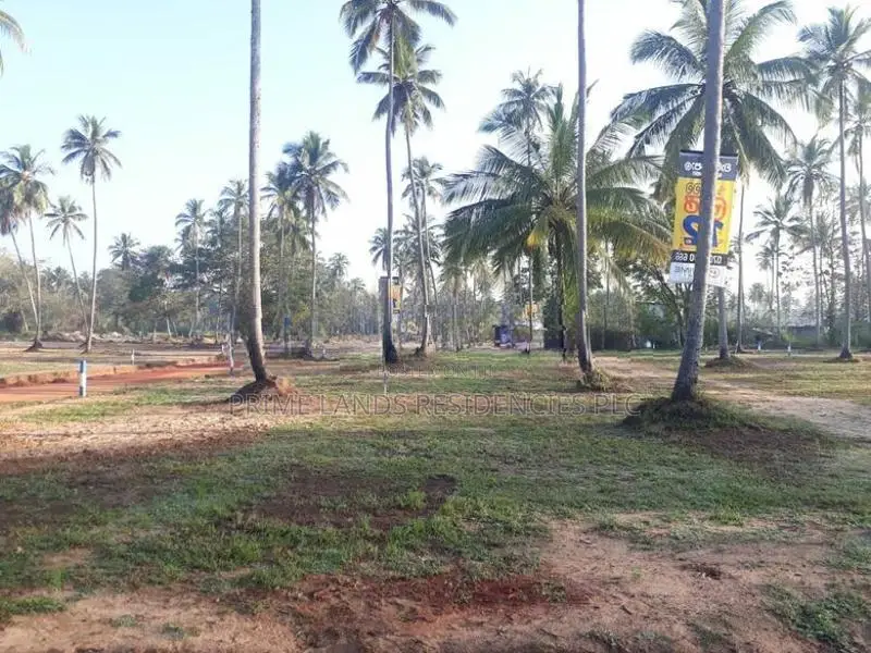 වාරියපොළ නගරයෙන්ම සින්නක්කර බිම්කොටස් විකිණීමට