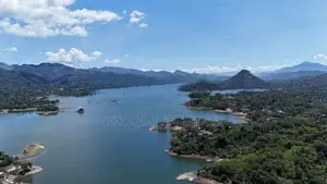 Land for Sale Digana