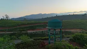 Mountain View Land for Sale – Haputale