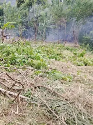 වැලිමඩ නගරයට ආසන්න ඉඩමක් ඇත