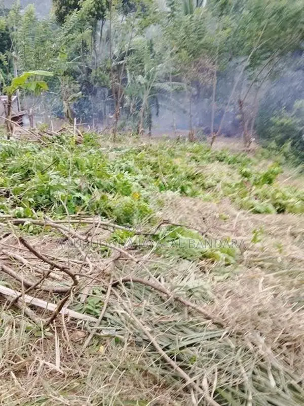 වැලිමඩ නගරයට ආසන්න ඉඩමක් ඇත