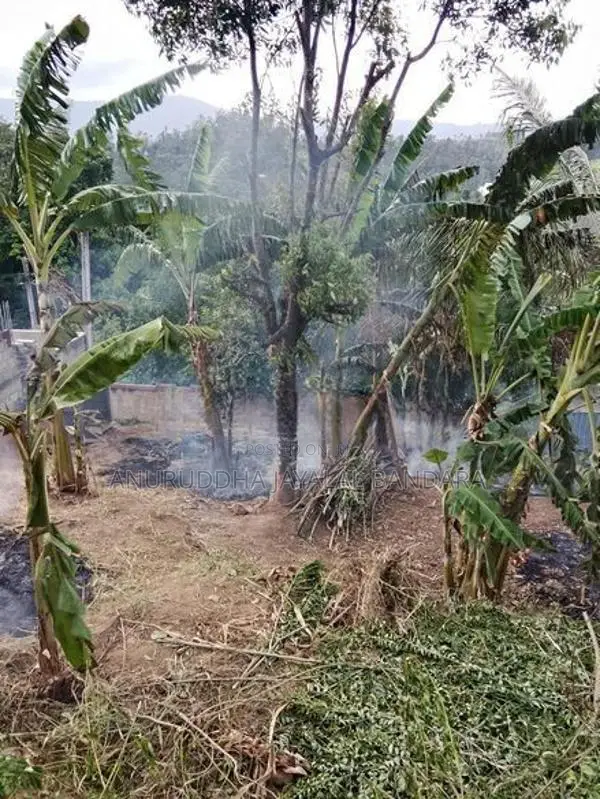 වැලිමඩ නගරයට ආසන්න ඉඩමක් ඇත