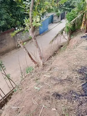 වැලිමඩ නගරයට ආසන්න ඉඩමක් ඇත
