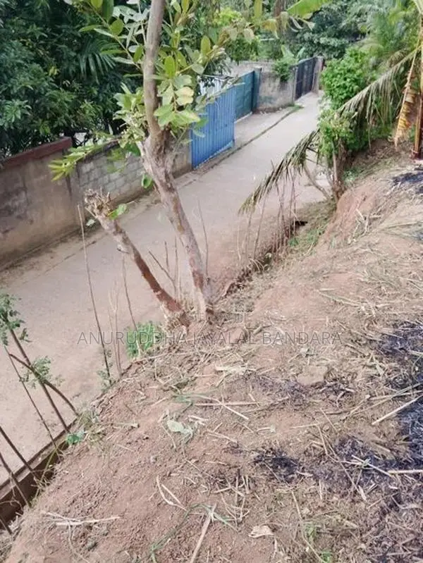 වැලිමඩ නගරයට ආසන්න ඉඩමක් ඇත