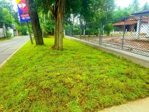 Land for Sale in Minuwangoda