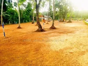 Land for Sale in Minuwangoda