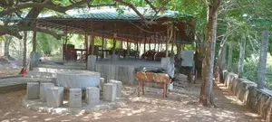holiday type hotel for sale in kataragama
