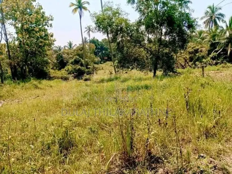 Land For Sale Kuliyapitiya