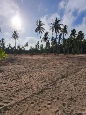 කාක්කපල්ලිය අවටින් සින්නක්කර බිම් කොටස්