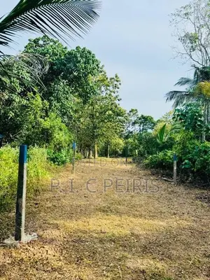 114 Perches Land for Sale in Katana, Kongodamulla.Katana.Gampaha.