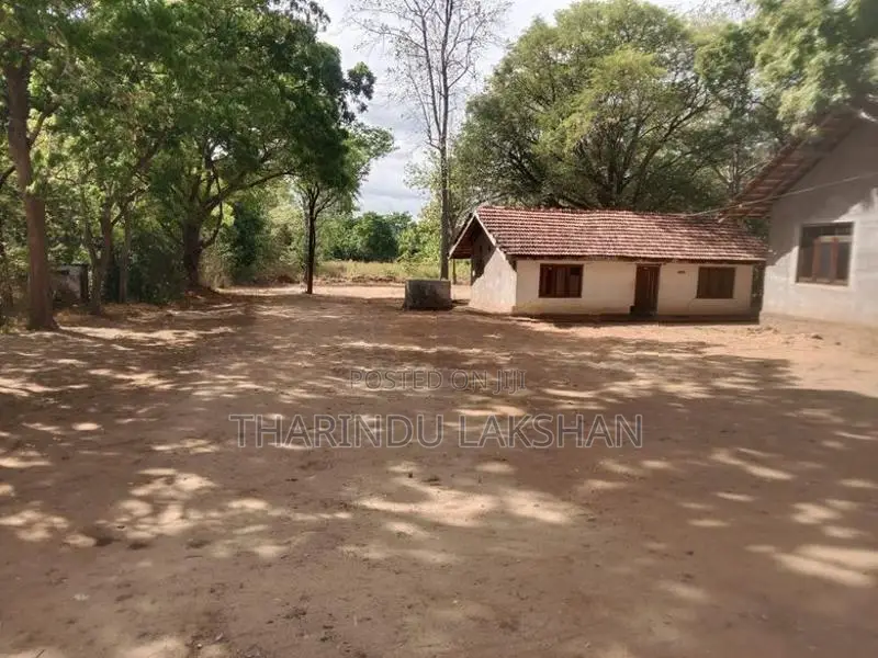 “Prime Roadside Property For Rent – A2 Road, Kuda Oya”.