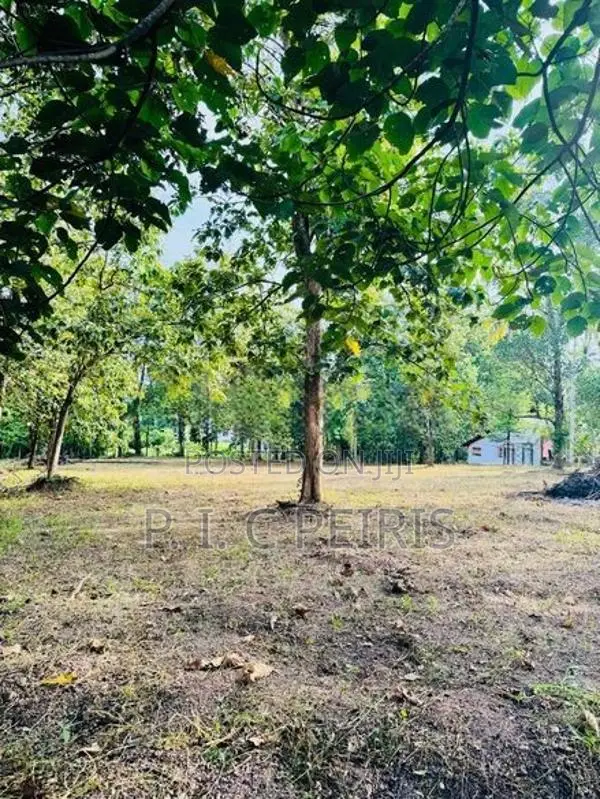 114 Perches Land for Sale in Katana, Kongodamulla.Katana.Gampaha.