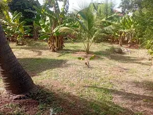 20 Perches Land for Sale in 3rd Kurana, Negombo.Gampaha.