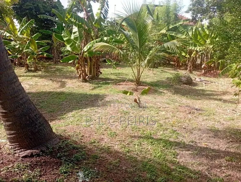 20 Perches Land for Sale in 3rd Kurana, Negombo.Gampaha.
