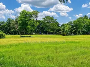 Padeniya Residential Land Plots