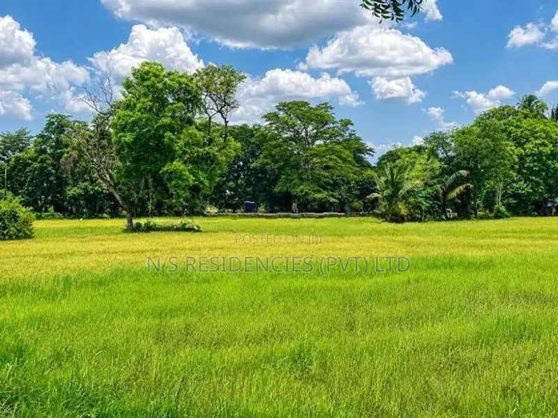 Padeniya Residential Land Plots