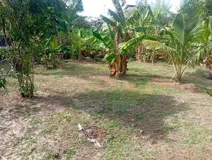 20 Perches Land for Sale in 3rd Kurana, Negombo.Gampaha.
