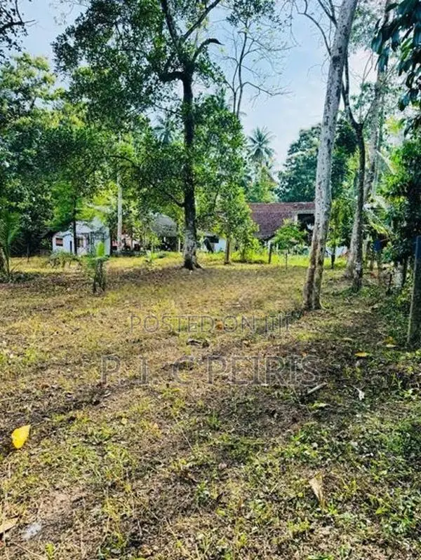 114 Perches Land for Sale in Katana, Kongodamulla.Katana.Gampaha.