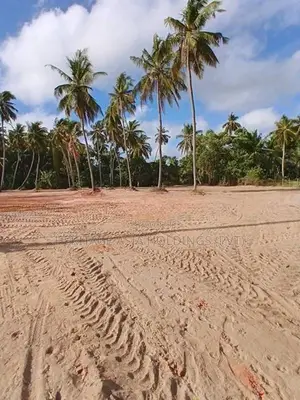 කාක්කපල්ලිය හංදියට ආසන්නව සින්නක්කර බිම් කොටස්