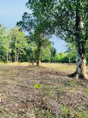 114 Perches Land for Sale in Katana, Kongodamulla.Katana.Gampaha.