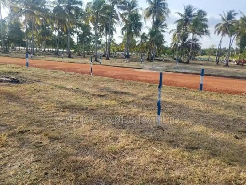 නාච්චාදූව අනුරාධපුර පාරෙන් සින්නක්කර බිම්කොටස්