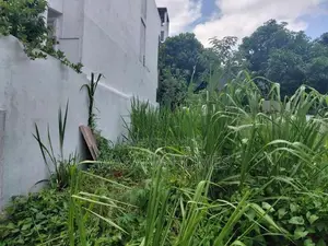 Excellent Land for Sale Borelesgamuwa