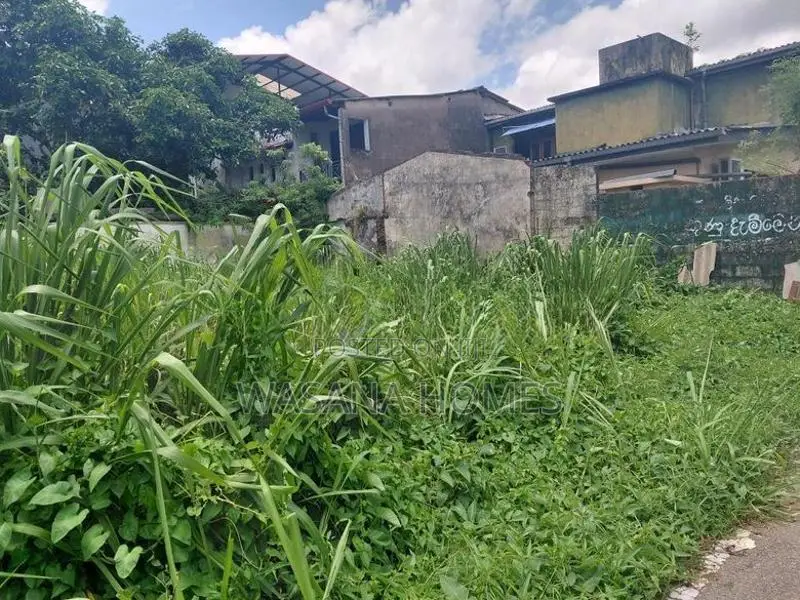Excellent Land for Sale Borelesgamuwa