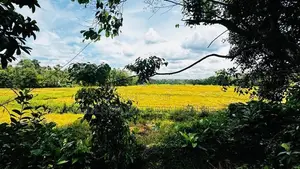 Perfect Residential Land for Sale in Kirillawala Kadawatha