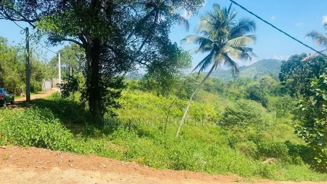 Land for Sale in Palapathwala