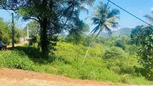 Land for Sale in Palapathwala