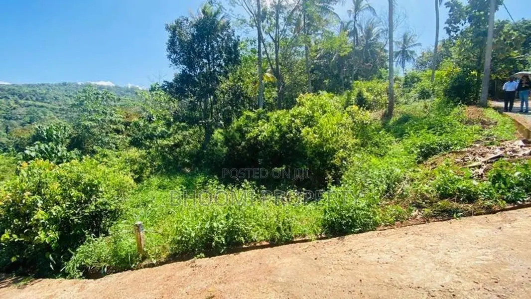 Land for Sale in Palapathwala