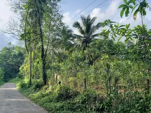 පර්චස් 35ක ඉඩමක් විකිණීමට -හිදැල්ලන, රත්නපුර