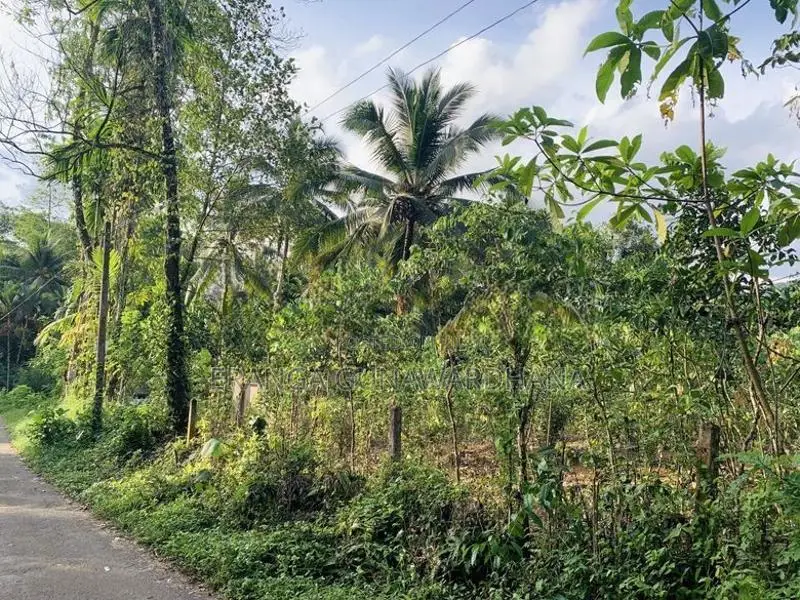 පර්චස් 35ක ඉඩමක් විකිණීමට -හිදැල්ලන, රත්නපුර