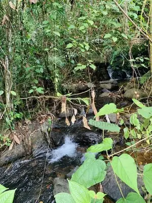 පර්චස් 35ක ඉඩමක් විකිණීමට -හිදැල්ලන, රත්නපුර