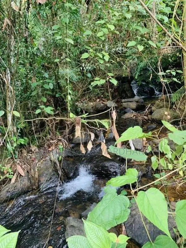 පර්චස් 35ක ඉඩමක් විකිණීමට -හිදැල්ලන, රත්නපුර