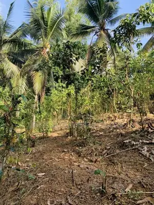 පර්චස් 35ක ඉඩමක් විකිණීමට -හිදැල්ලන, රත්නපුර