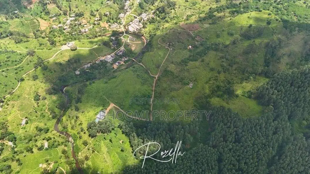 Natural Houses for Sale in Rozella