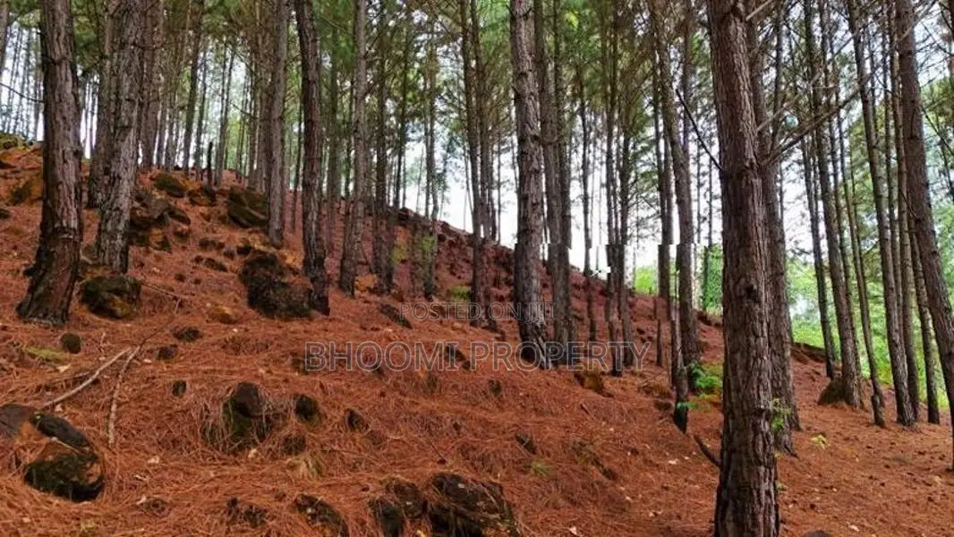 Land for Sale Ella