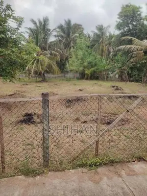 වෙන්නප්පුව කඩවත පාර සින්නක්කර ඉඩමක්