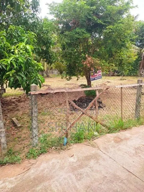 වෙන්නප්පුව කඩවත පාර සින්නක්කර ඉඩමක්