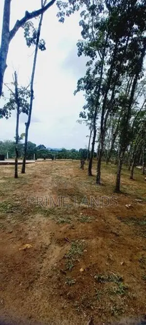 බැල්ලපිටිය හන්දිය ආසන්නයේන් වටිනා ඉඩම් ව්‍යාපෘතියක්