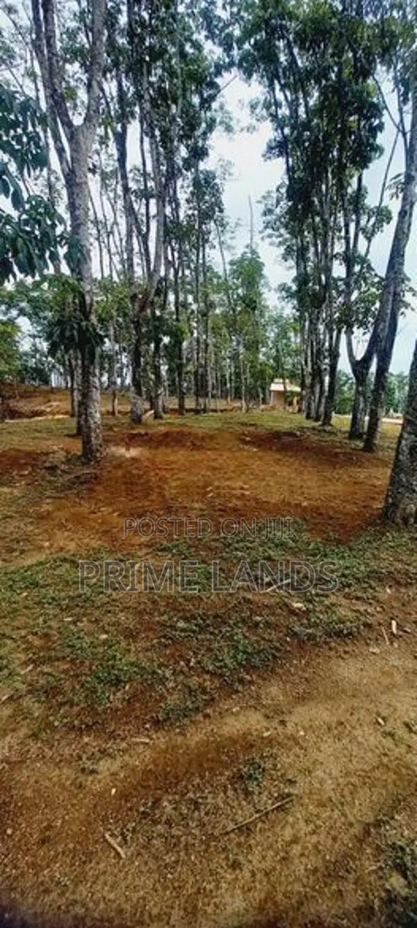 බැල්ලපිටිය හන්දිය ආසන්නයේන් වටිනා ඉඩම් ව්‍යාපෘතියක්