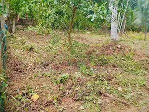 Land for Sale in Padukka