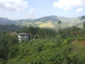 KANDY : 9-ACRE TEA ESTATE WITH BUILDING FOR SALE