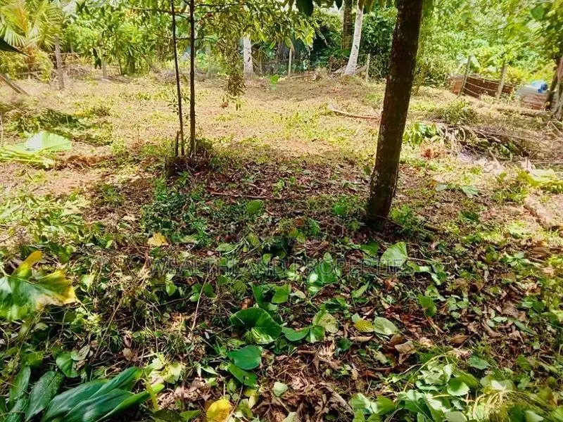 Land for Sale in Padukka