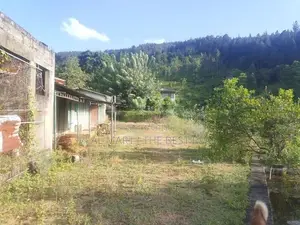 KANDY : 9-ACRE TEA ESTATE WITH BUILDING FOR SALE