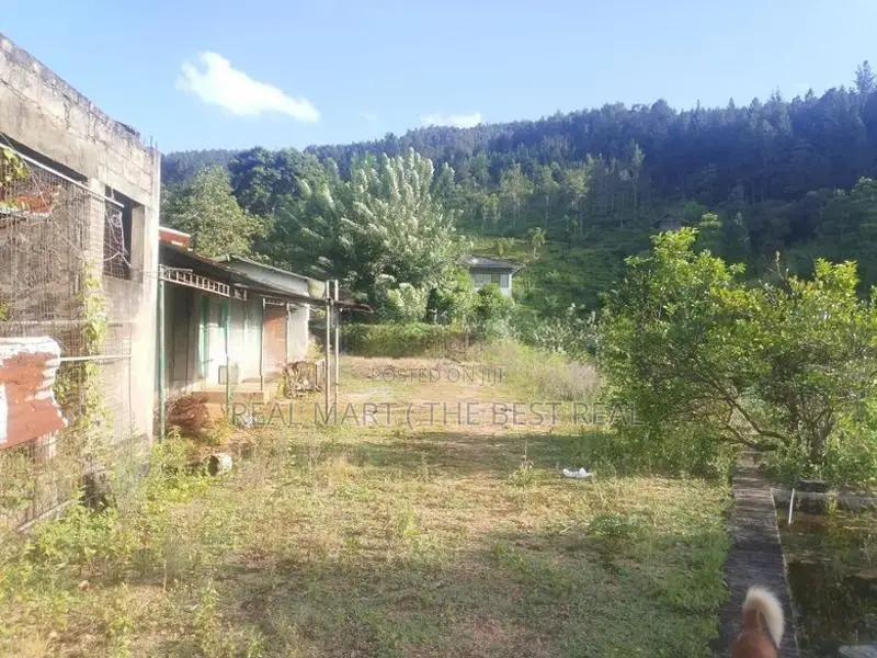 KANDY : 9-ACRE TEA ESTATE WITH BUILDING FOR SALE