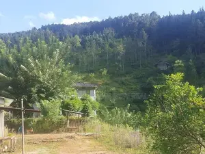 KANDY : 9-ACRE TEA ESTATE WITH BUILDING FOR SALE